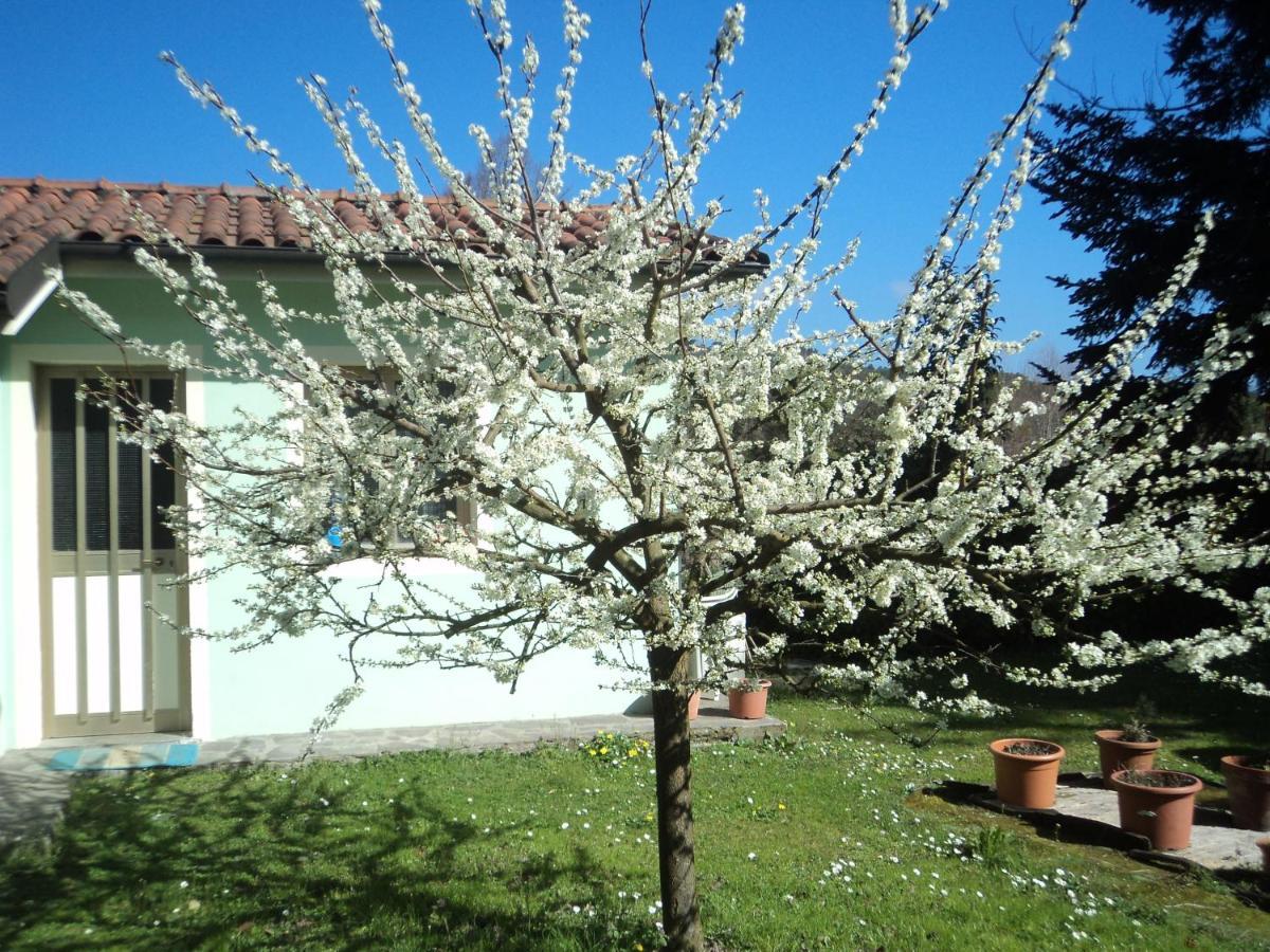 Casa Le Sorelline Pensionat San Macario In Piano Exteriör bild